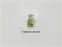 藏品(螟蛾300)的圖片